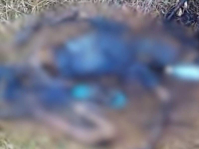 Penemuan Mayat Menyisakan Tulang Di Desa Sukojati