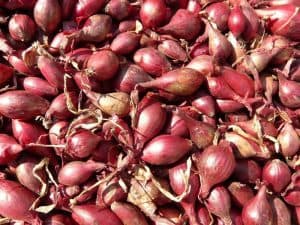 Kantong Bolong Lagi? Harga Bawang Merah Naik Rp 29.540 per kg