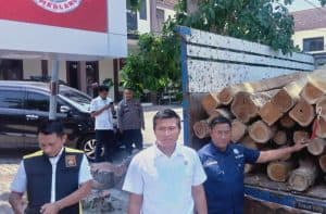 Polisi Berhasil Tangkap Pelaku Pencurian Kayu Jati & Sita Hasil Curian