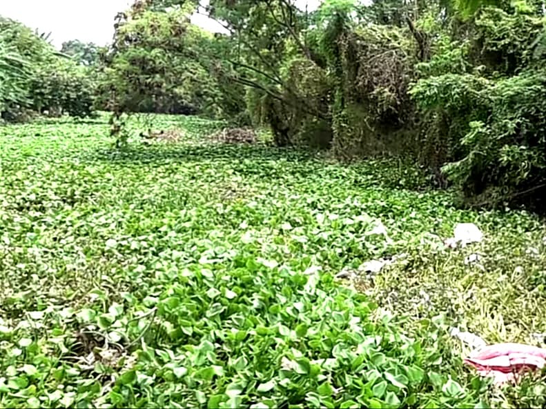 BBWS Brantas Dinilai Abai, Gunung Anyar Kembali Diterjang Banjir