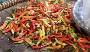 Pasca Libur Nataru, Harga Cabai di Surabaya Tembus Rp 130 Ribu Per Kg