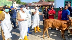 625 Dosis Vaksin PMK di Jombang Habis, Ini Tindakan Dinas Peternakan