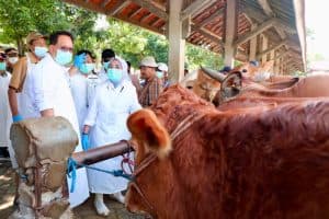 Jawa Timur Darurat Penyakit Mulut dan Kuku