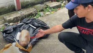 Kepala Babi Guncang Tempo: Ancaman Kebebasan Pers Pasca Ganti Rezim