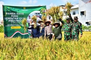 Surabaya Panen Serentak: 8,8 Ton/Hektar! Hasil Lampaui Target Nasional