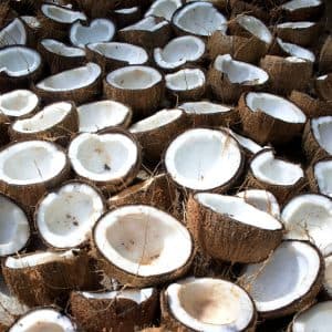 Kelapa Langka Harga Tinggi, Mendag Tuding Pelaku Usaha Banyak Ekspor