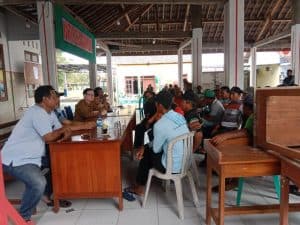 Hama Tikus Rusak Ratusan Hektar Tanaman Jagung Petani di Jombang