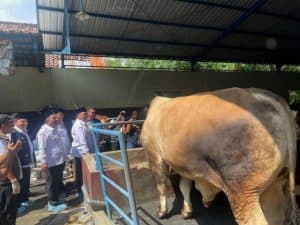 Iduladha: DLH Jombang Ajak Gunakan Daun untuk Bungkus Daging Kurban