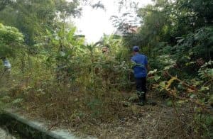 Monyet Besar Terkam Bocah di Jombang, Warga Panik: BPBD Turun Tangan