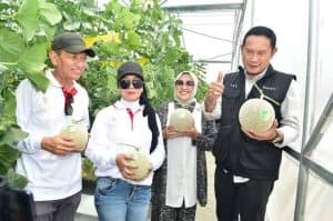 Pengusaha Tembakau di Lamongan Bantu Normalisasi Lahan Petani