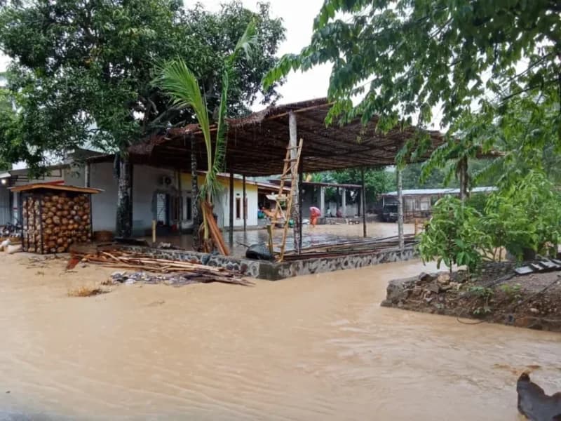 Banjir Terjang Banyuwangi-Jember: Lebih dari 2.700 Rumah Terendam