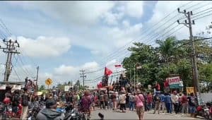 AGRA & Perkumpulan Petani Ubi Aksi Tuntut Pabrik Beli Singkong Petani