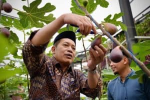 Wamenkop: Kopontren Al-Ittifaq, Contoh Sempurna Kop Des Merah Putih