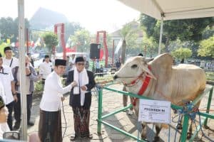 Plt Gubernur Emil Pastikan Hewan Kurban Sehat dan Distribusi Adil